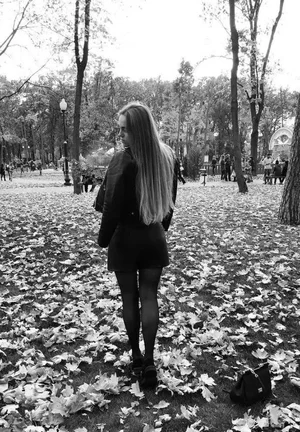 Rikke